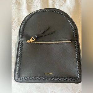Calpak Backpack